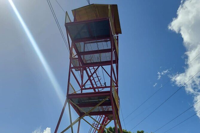 Private Guided Tour in Puerto Rico - Who Is This Tour Best Suited For?