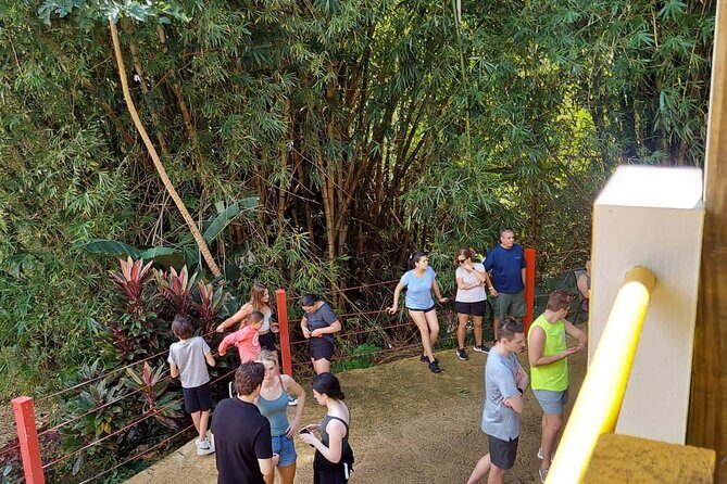 Private Guided Tour in Puerto Rico - Frequently Asked Questions