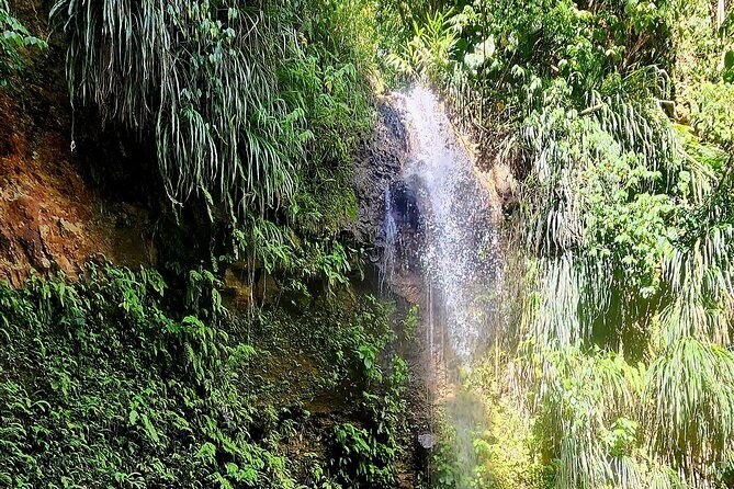 Private Guided Tour in Soufriere with Transfers and Lunch - Introduction