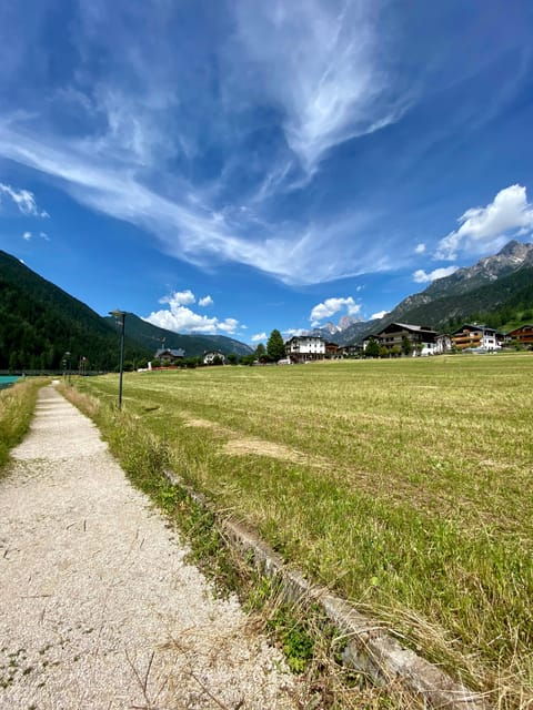Private Guided Tour in the Dolomites from Venice - An In-Depth Look at the Tour Experience