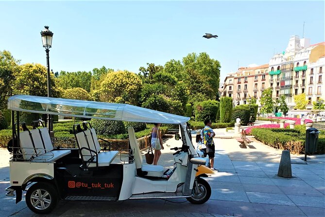 Private Guided Tour in Tuk-Tuk Through Madrid Castizo - Price and Group Size