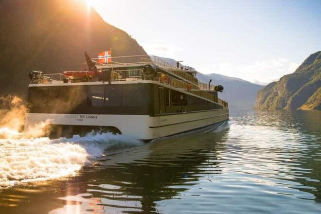 Private Guided Tour - Nærøyfjord Cruise and Flåm Railway - Guided Experience