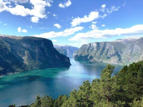 Private Guided Tour - Nærøyfjord Cruise and Flåm Railway - Payment Options