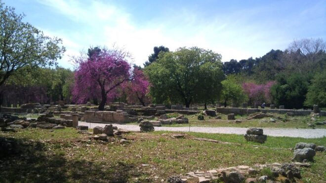 Private Guided Tour of Ancient Olympia - Important Information and Directions