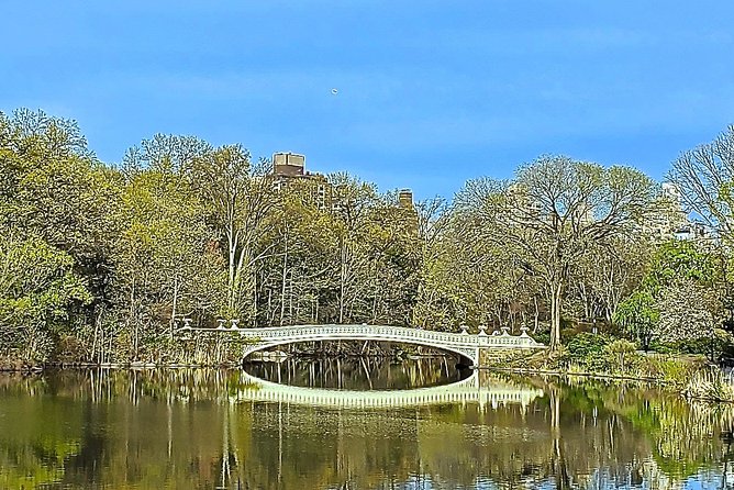 Private Guided Tour of Central Park - Additional Information