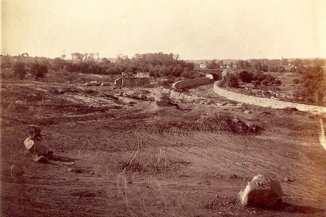 Private Guided Tour of Central Park - Reviews