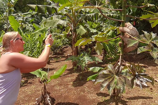 Private Guided Tour of Chocolate Farm and Waterfalls in Costa Rica  - Playa Hermosa - Tour Overview