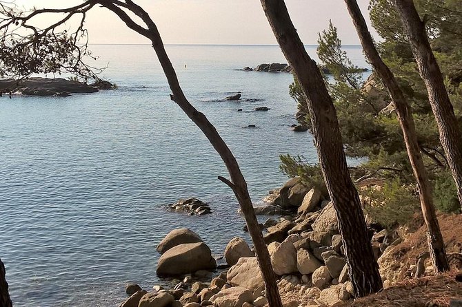 Private Guided Tour of Costa Brava From Barcelona - Physical Fitness Requirements