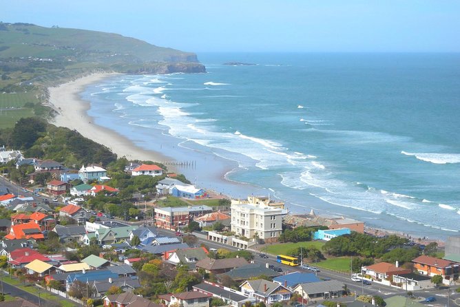 Private Guided Tour of Dunedin City Heritage and Unique Wildlife and Scenery - Tour Overview and Itinerary