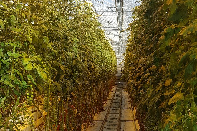 Private Guided Tour Of Golden Circle Form Reykjavík - Common Questions