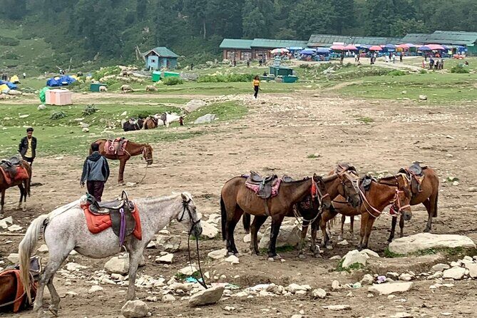 Private Guided Tour of Gulmarg from Srinagar - Overall Value and Suitability