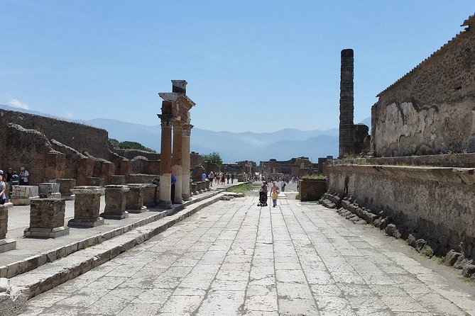 Private Guided Tour of Pompeii and Herculaneum - Transportation and Logistics