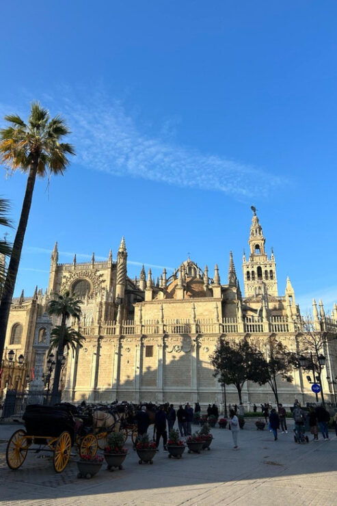 Private Guided Tour of Seville From Faro - Meeting and Pickup