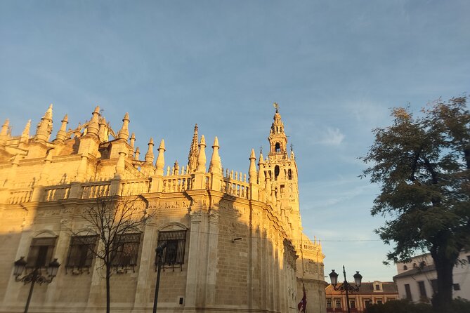 Private Guided Tour of Seville in a Traditional Horse Car - Meeting and Pickup