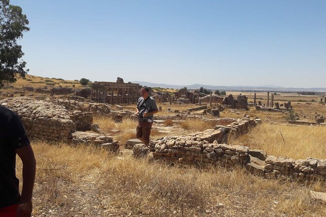 Private Guided Tour of Zaghouan, Thuburbo Majus and Dougga From Hammamet - General Information