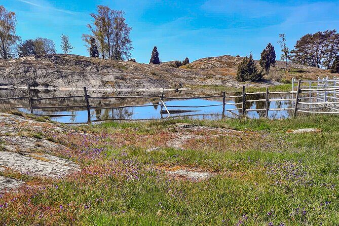 Private Guided Tour on Lake Vänern - Why This Tour Works Well
