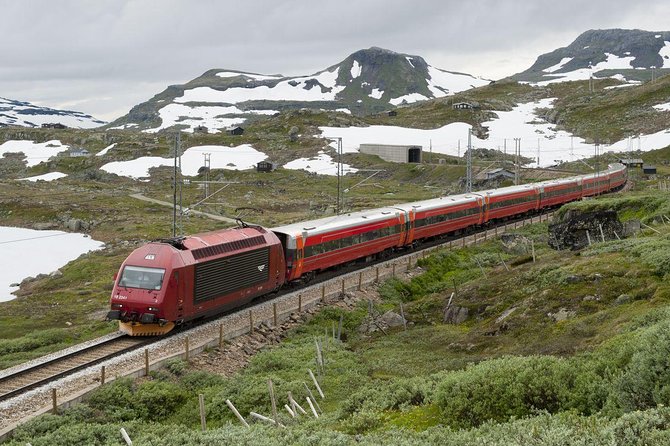 Private Guided Tour - Premium Nærøyfjord Cruise and Flåm Railway - Tour Highlights