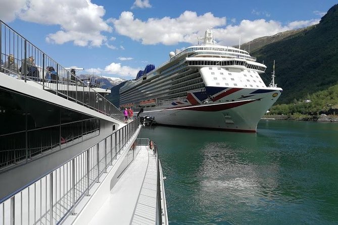 Private Guided Tour - Premium Nærøyfjord Cruise and Flåm Railway - Highlights of the Tour