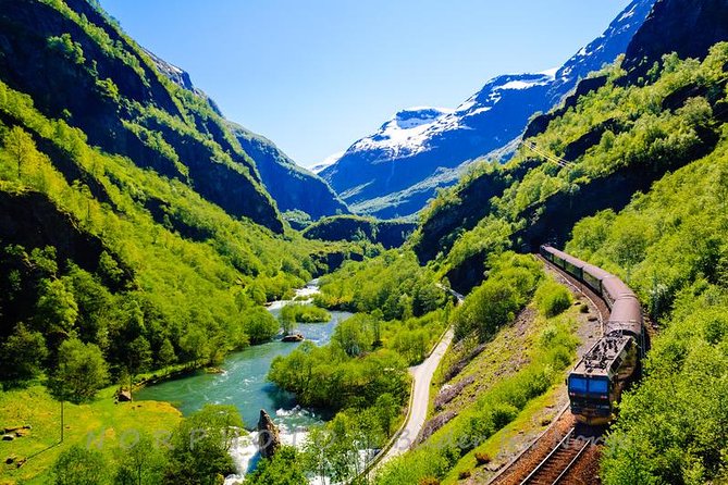 Private Guided Tour - Premium Nærøyfjord Cruise and Flåm Railway - Value for Money and Additional Information