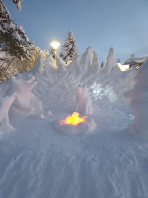 Private Guided Tour Rovaniemi To Kakslauttanen /Saariselka - FAQs