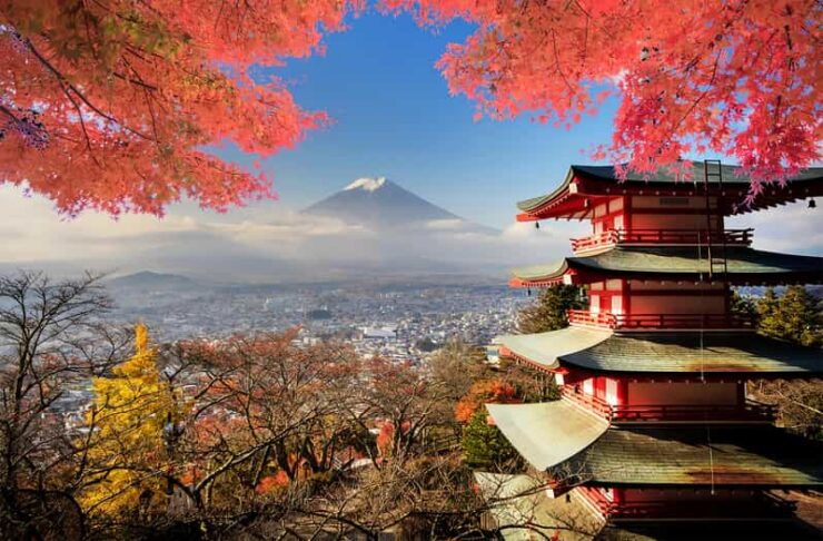 Private Guided Tour To Mount Fuji With Roundtrip Transfer. - Good To Know