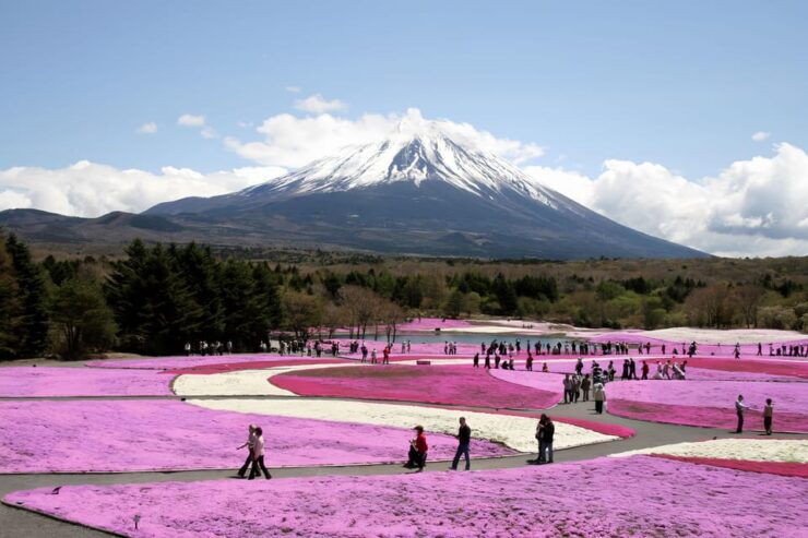 Private Guided Tour To Mount Fuji With Roundtrip Transfer. - Customization Options Available