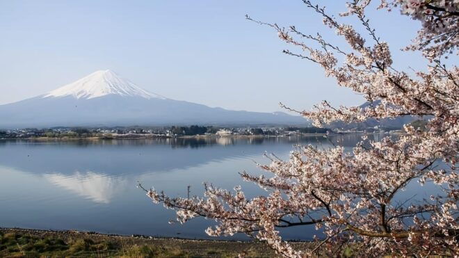 Private Guided Tour To Mount Fuji With Roundtrip Transfer. - Inclusions and Fees