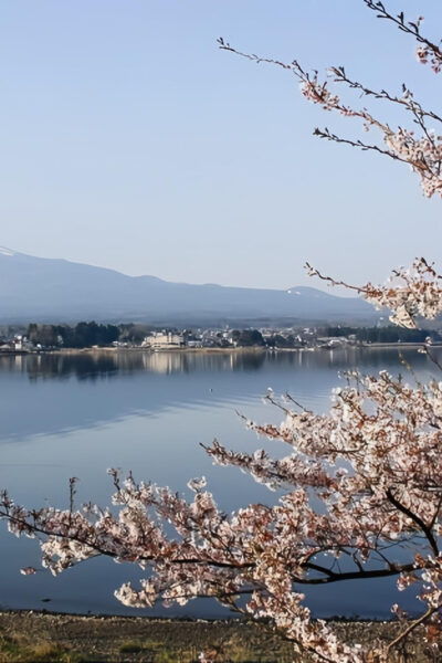 Private Guided Tour To Mount Fuji With Roundtrip Transfer. - Booking Process