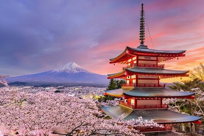 Private Guided Tour To Mount Fuji With Roundtrip Transfer - Reviews