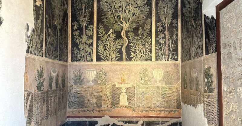 Private guided tour to Pompeii excavations - Who Should Consider This Tour