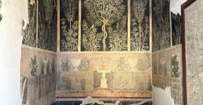 Private Guided Tour to Pompeii Excavations - Inclusions