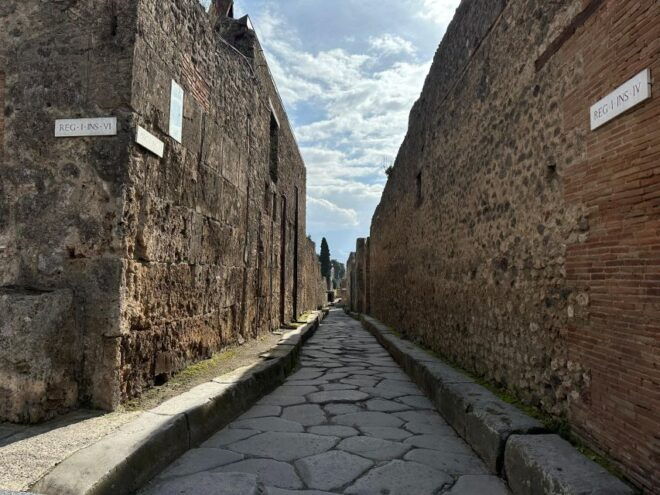 Private Guided Tour to Pompeii Excavations - Important Information