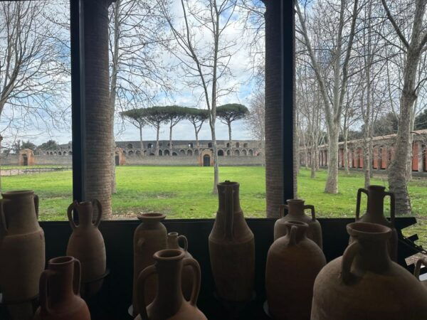 Private Guided Tour to Pompeii Excavations - Tour Experience