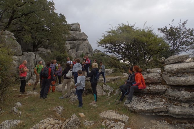 Private Guided Tour to Torcal De Antequera - Reviews and Recommendations