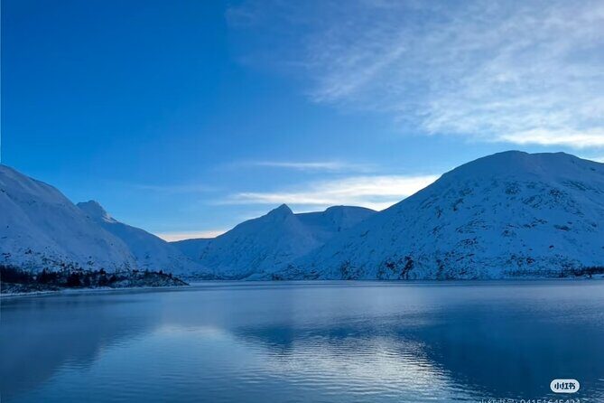 Private Guided Tour Whittier Cruise pick up - What to Expect from the Itinerary