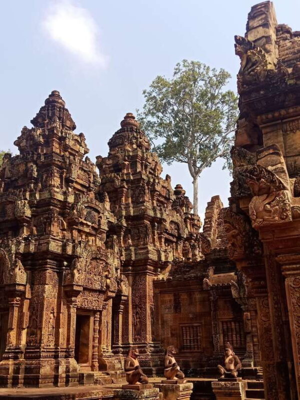 Private Guided Tours From Angkor Wat Sunrise To Banteay Srei - FAQ