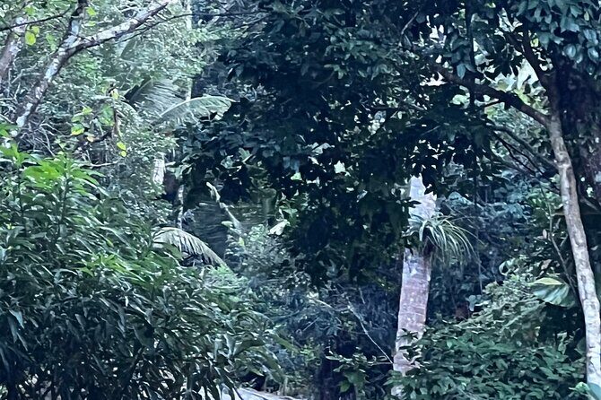 Private Guided Tours in Rio las Pailas - The Sum Up