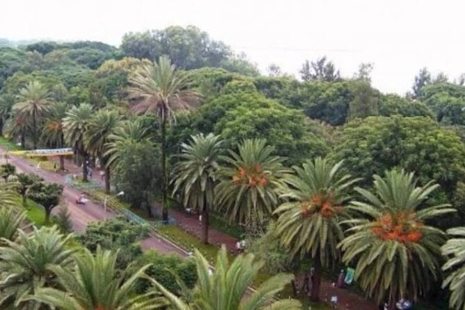 Private Guided Tours To Bahir Dar Lake Tana Monastery & Blue Nile Waterfalls - Cancellation Policy