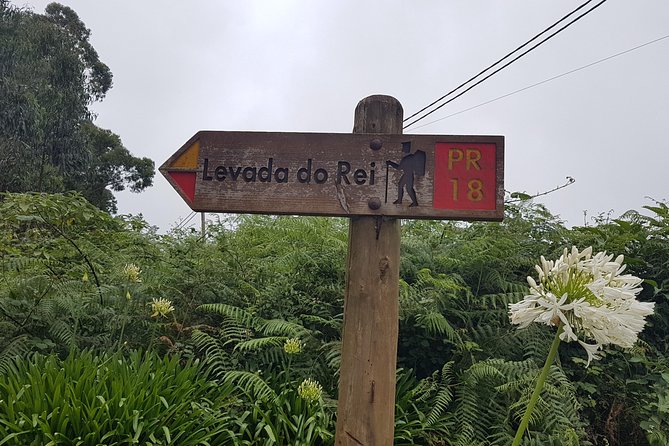 Private Guided Walk Levada Do Rei - Tour Overview