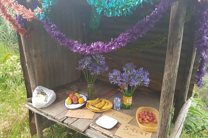 Private Guided Walk Levada Monte to Palheiro Ferreiro - Additional Information and Requirements