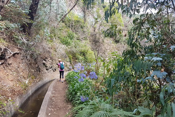 Private Guided Walk Levada Monte to Palheiro Ferreiro - The Sum Up