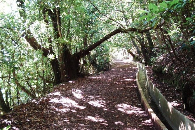 Private Guided Walk Levada Ribeiro Frio to Portela - Overview
