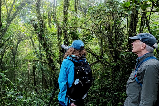 Private Guided Walk to the Santa Elena Cloud Forest Reserve - Tour Highlights