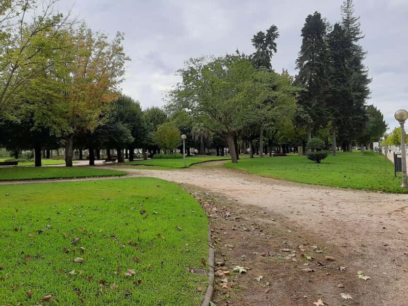 Private guided walking tour in Coimbra (8 hours) - Why Choose a Private Guided Walking Tour in Coimbra?