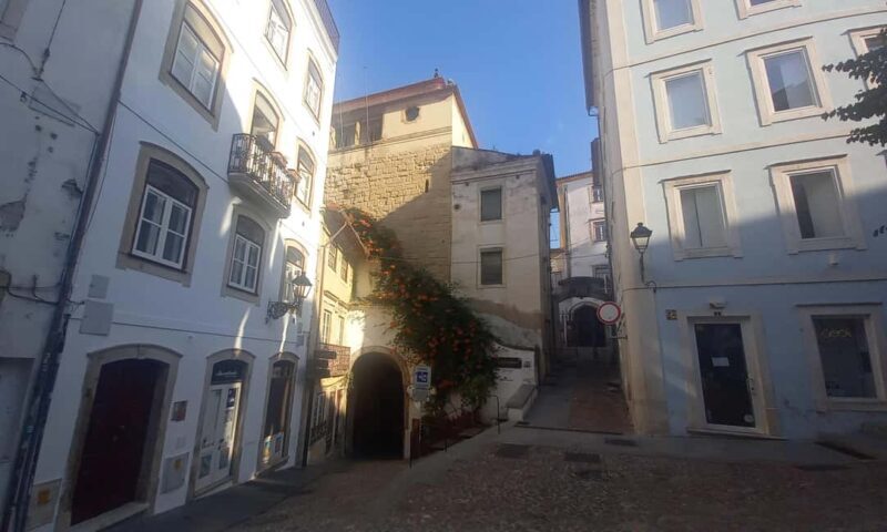 Private guided walking tour in Coimbra (8 hours) - Summary: Who Will Love This Tour?