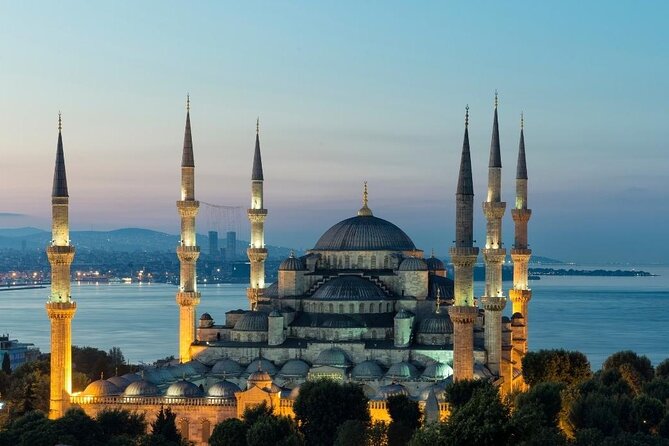 Private Guided Walking Tour in Istanbul - Professional Guide and Major Attractions