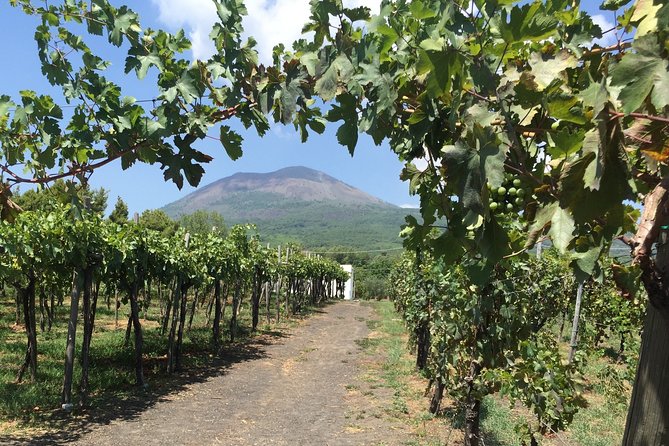 Private Guided Wine Tasting Experience in Vesuvius With Lunch - Booking Information