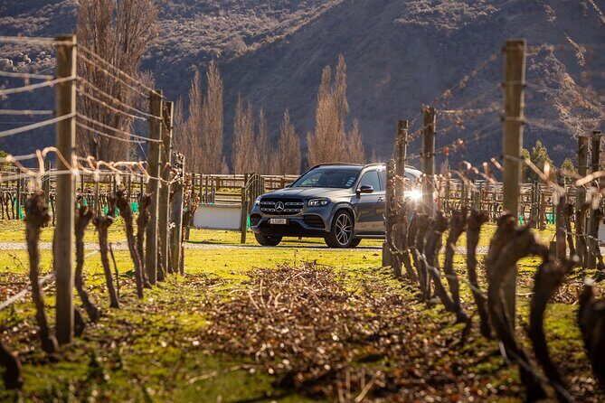 Private Guided Wine Tour Ex Queenstown - An Overview of the Experience