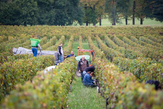 Private Guided Winery Tour With Wine Tasting in Lalande De Pomerol - Questions and Assistance