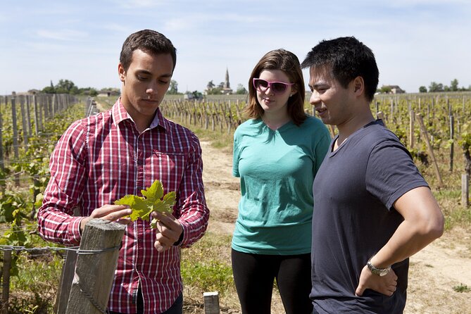 Private Guided Winery Tour With Wine Tasting in Lalande De Pomerol - Pricing and Provider Information